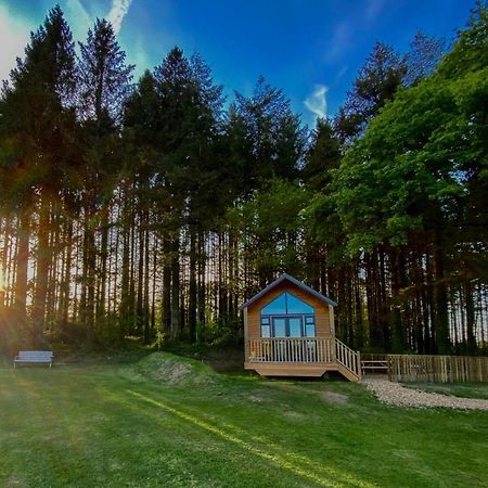 Cabin In The Woods - 1 Bedroom Lodge - Kilgetty Stepaside  Extérieur photo