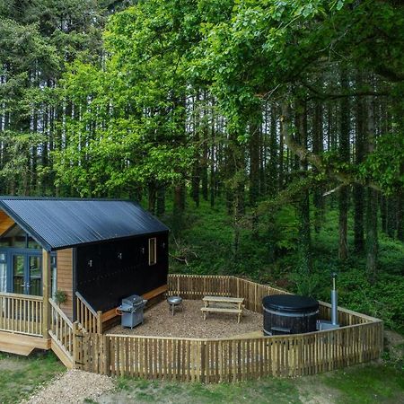 Cabin In The Woods - 1 Bedroom Lodge - Kilgetty Stepaside  Extérieur photo