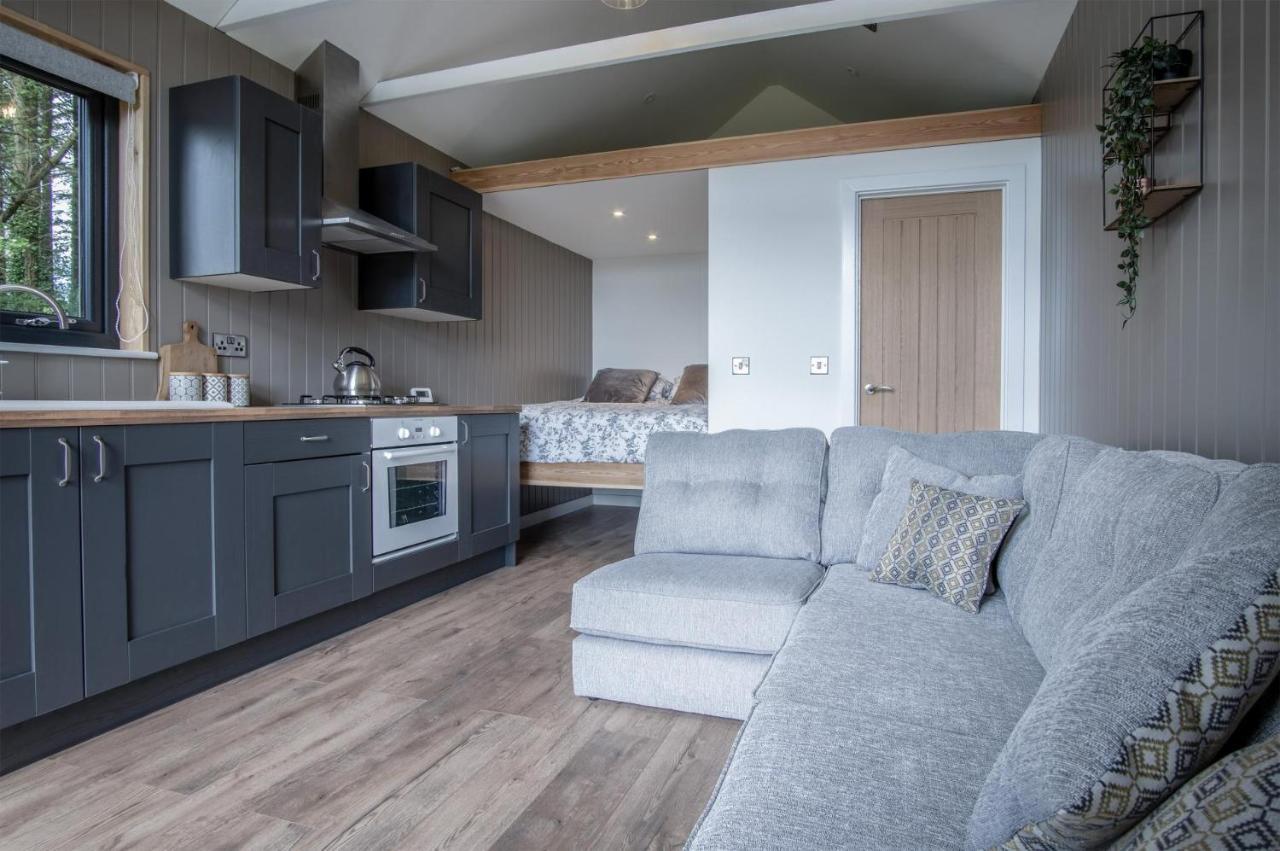 Cabin In The Woods - 1 Bedroom Lodge - Kilgetty Stepaside  Extérieur photo