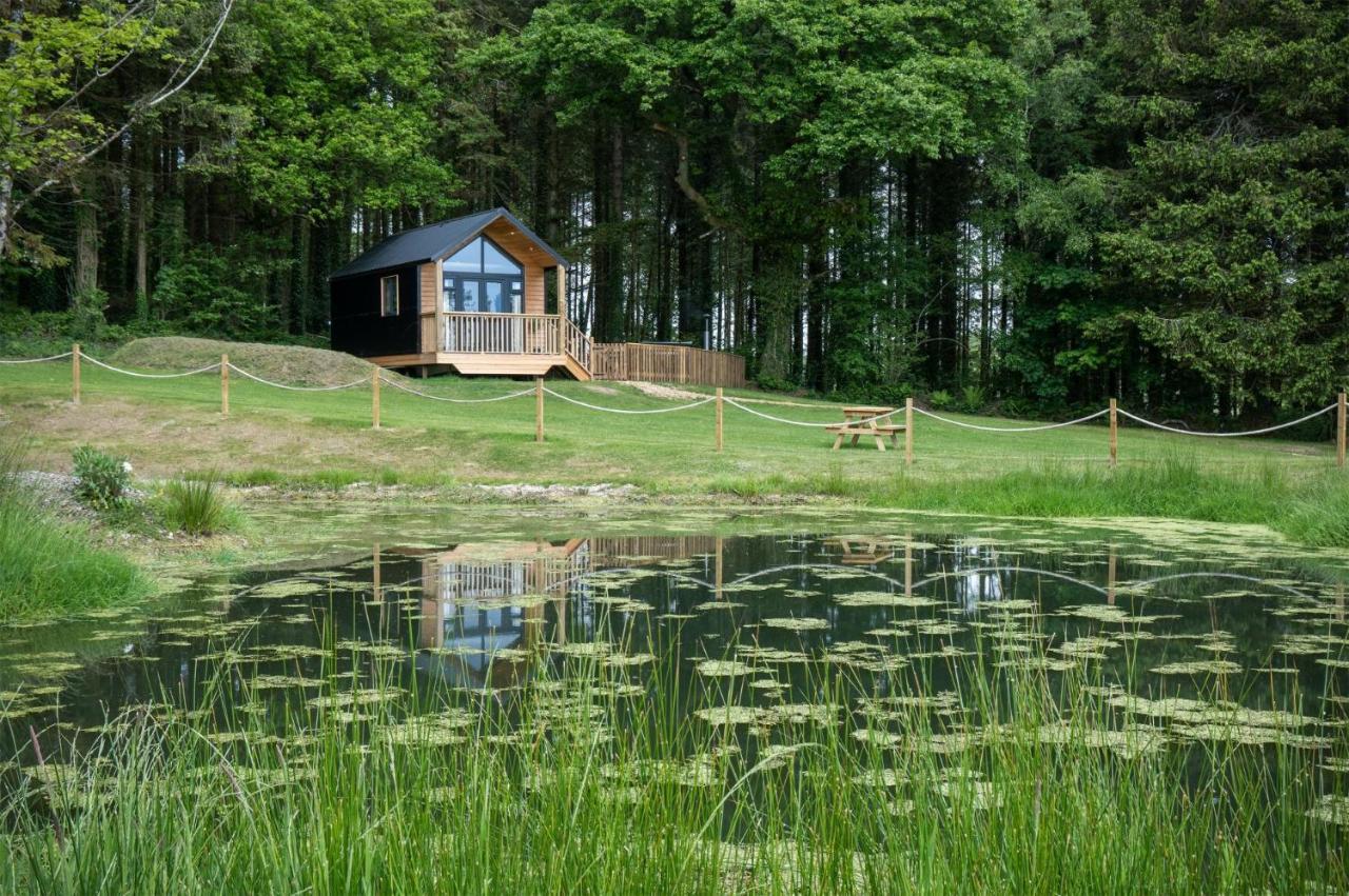 Cabin In The Woods - 1 Bedroom Lodge - Kilgetty Stepaside  Extérieur photo