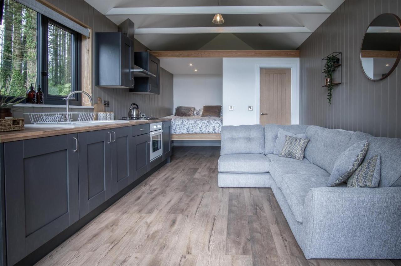 Cabin In The Woods - 1 Bedroom Lodge - Kilgetty Stepaside  Extérieur photo