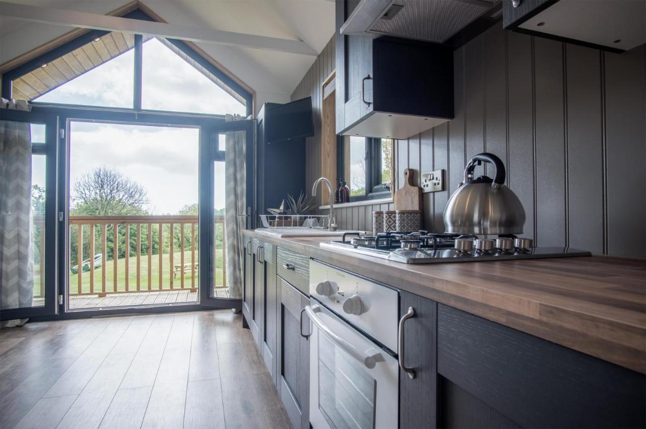 Cabin In The Woods - 1 Bedroom Lodge - Kilgetty Stepaside  Extérieur photo