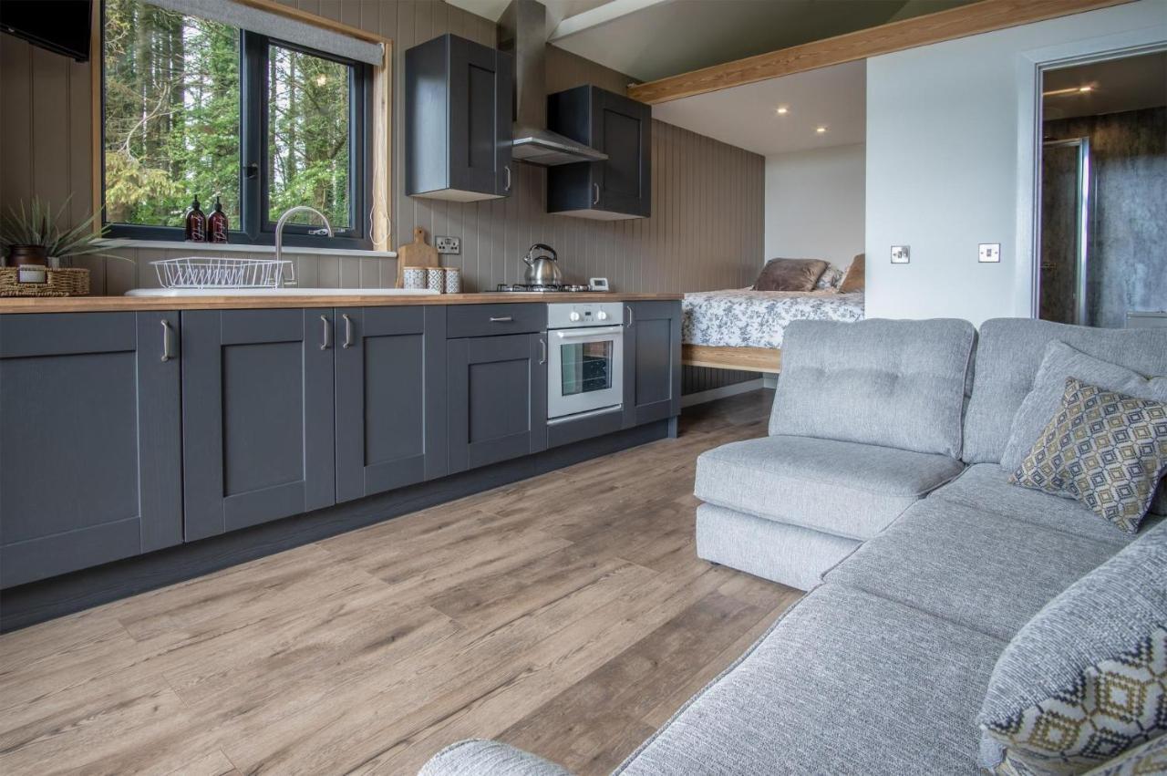 Cabin In The Woods - 1 Bedroom Lodge - Kilgetty Stepaside  Extérieur photo