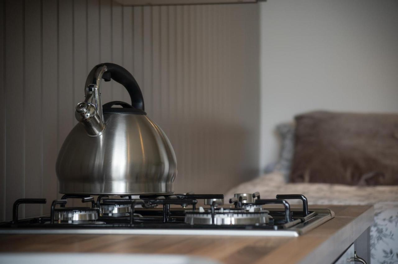 Cabin In The Woods - 1 Bedroom Lodge - Kilgetty Stepaside  Extérieur photo