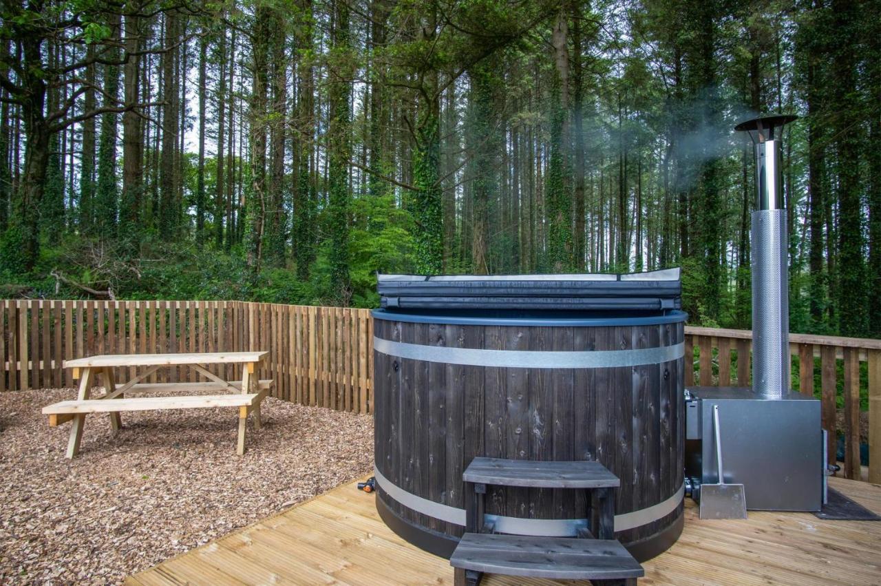 Cabin In The Woods - 1 Bedroom Lodge - Kilgetty Stepaside  Extérieur photo