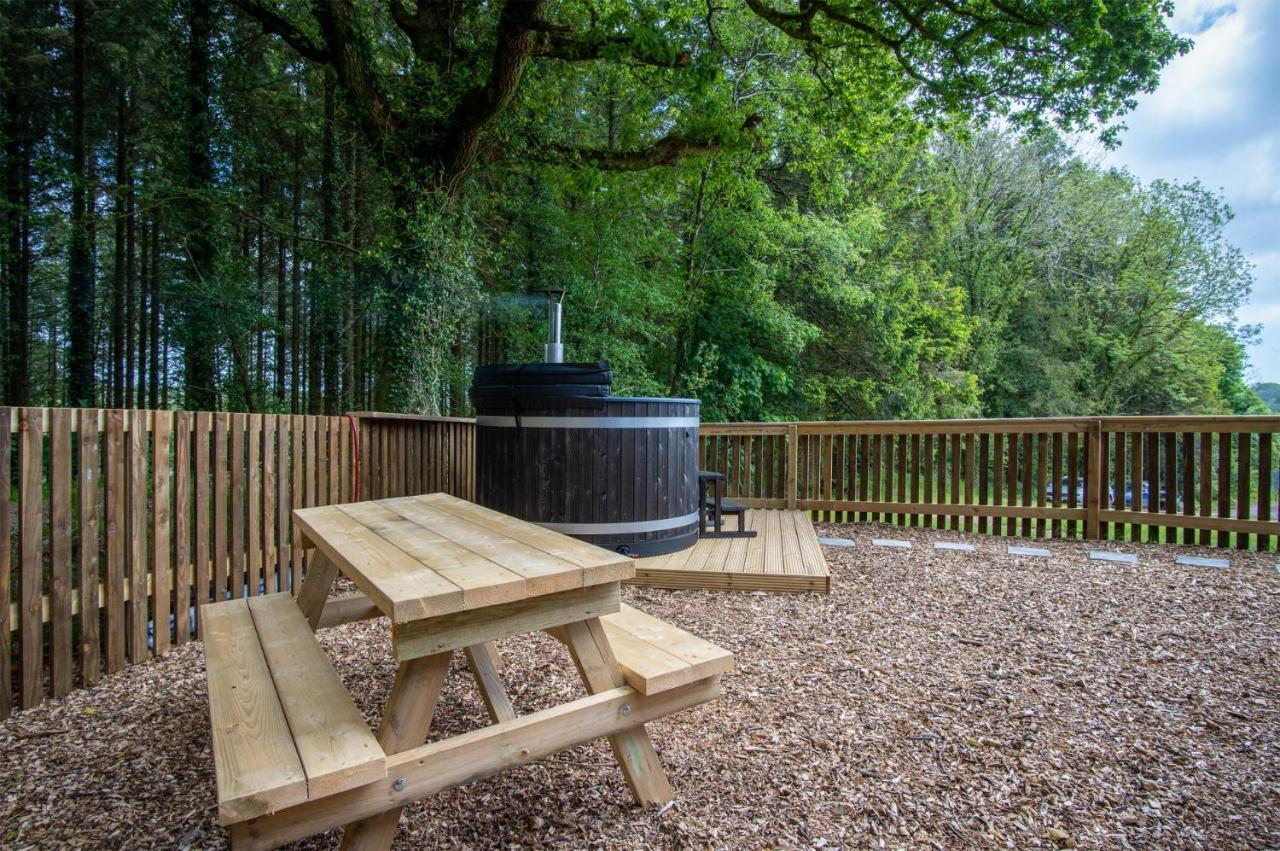 Cabin In The Woods - 1 Bedroom Lodge - Kilgetty Stepaside  Extérieur photo